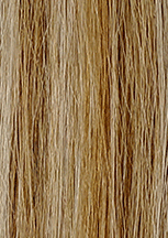PLATINUM/Honey Blonde