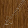 Light Auburn (darker tone)