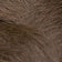 Medium Brown