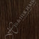 Medium Brown (dark tone)