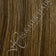 Medium Brown / Light Golden Brown