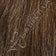 Medium Brown / Honey Blonde