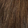 Medium Brown / Honey Blonde