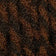 Medium Brown / Medium Auburn
