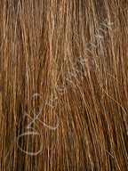 Medium Light Brown / Honey Blonde / Light Auburn