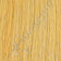 Gray (yellowish tone)