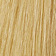 Light Pale Blonde