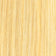 Light Pale Blonde
