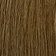 Light Chestnut Brown