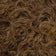 Medium Ash Brown
