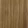 Wheat Blonde / Golden Blonde
