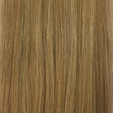 Wheat Blonde / Golden Blonde