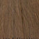 Medium Ash Brown