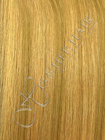 Wheat Blonde / Honey Blonde