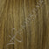 Medium Ash Brown / Honey Blonde