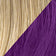 R14/88H/Golden Wheat/Dark Purple