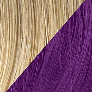 R14/88H/Golden Wheat/Dark Purple