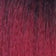 SOM RT BURGUNDY