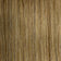 Medium Ash Brown