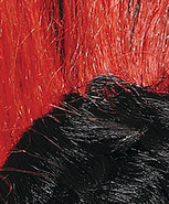 BLK/NEONRED