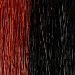 TC1B/RED