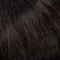 Dark Brown (Ashy Shade)