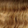 Light Brown Root / Light Golden Brown / Wheat Blonde