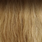 Medium Ash Brown Root / Light Ash Brown / Light Blonde