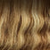 Medium Ash Brown Root / Light Golden Brown
