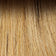 Medium Ash Brown Root / Honey Blonde / Light Pale Blonde