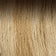 Medium Ash Brown Root / Light Golden Brown