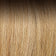 Medium Ash Brown Root / Honey Blonde / Light Pale Blonde