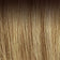 Medium Ash Brown Root / Light Golden Brown