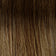 Medium Brown / Honey Blonde