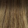Medium Ash Brown Root / Light Ash Brown / Golden Blonde