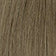Light Ash Brown (with more ash)