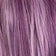 FS.PLUM