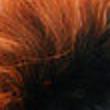 MOHAWK