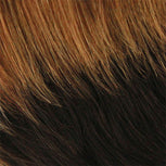 DL4243