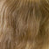 Light Ash Brown / Light Blonde