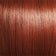 R33/31-SPICE