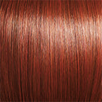 R33/31-SPICE