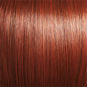 R33/31-SPICE