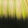 RTNEON/1B