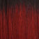 T1B/RED
