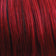 SF1B/REDBG