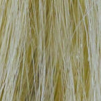 BRIELLE