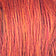 GINGER.ORG