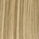Light Ash Brown / Light Blonde (has more dark tone)