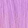 L-PURPLE